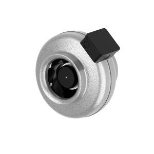 7001247_CK_160_B1_EC_y2.png